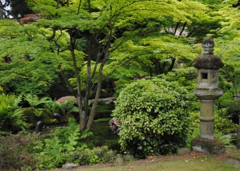 unsplash-image-qWkMJMeTZI